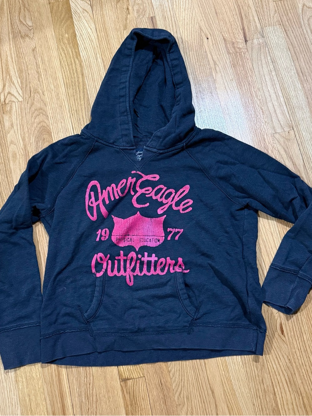 American Eagle Outfitters Navy Hoodie with Pink Logo, Size XL